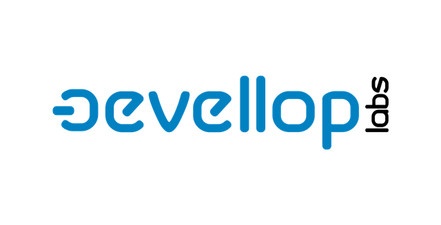 Blog - Devellop Labs